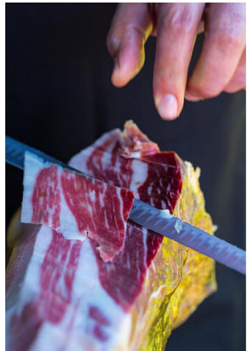 Bienvenido a nuestra web